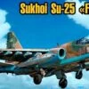 Sukhoi Su25 Frogfoot Aircraft 1/72 Art Model Kits