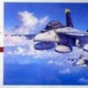 F/A-18F Super Hornet 1/48 Hasegawa