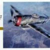 P-47D Thunderbolt 1/32 Hasegawa