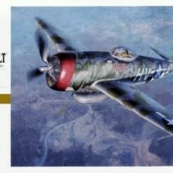 P-47D Thunderbolt 1/32 Hasegawa