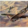P-40E Warhawk 1/48 Hasegawa