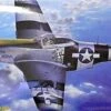 P-51D Mustang 1/48 Hasegawa