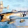P-47D25 Thunderbolt 1/48 Hasegawa