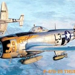 P-47D25 Thunderbolt 1/48 Hasegawa