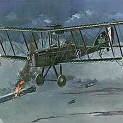 RAF B.E.12b 1/48 Roden