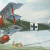 Fokker Dr.1 1/32 Roden