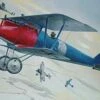 Pfalz D.III 1/32 Roden