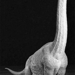 Brachiosaurus Diorama 1/35 Tamiya