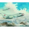 Mig-19S Farmer C Fighter 1/48 Trumpeter