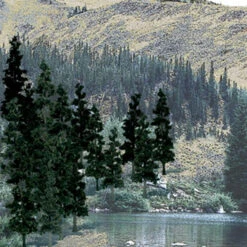 Conifer Green Value Pack Ready-Made Trees 4" - 6" Woodland Scenics