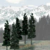 Conifer Green Value Pack Ready-Made Trees 6" - 8" Woodland Scenics