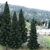 Ready Made Trees Value Pack 4" - 6" Evergreen (13) Ready Made Trees Value Pack 4" - 6" Evergreen (13)