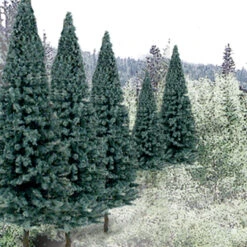 Ready Made Trees Value Pack 2" - 4" Blue Spruce (18) Ready Made Trees Value Pack 2" - 4" Blue Spruce (18)