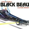 Steve McGee's Black Beauty AA/Fuel Dragster 1/25 AMT Models