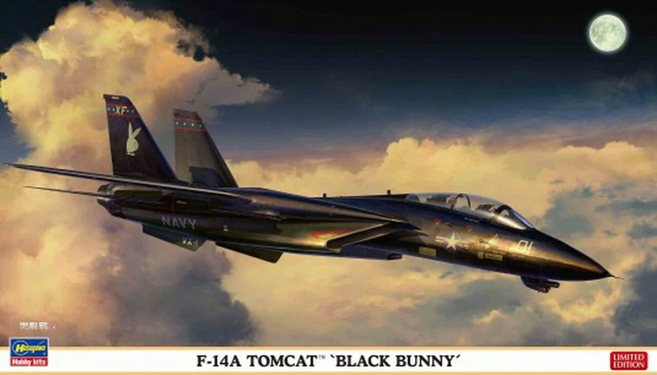 F-14A Tomcat Black Bunny Fighter (Ltd Edition) 1/72 Hasegawa