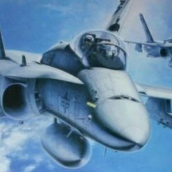 F/A-18D Hornet Night Attacker Aircraft 1/48 Hasegawa