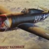 P-47D Thunderbolt Razorback USAAF Fighter 1/48 Hasegawa