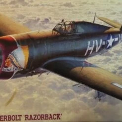 P-47D Thunderbolt Razorback USAAF Fighter 1/48 Hasegawa