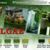 Algae Powder & Color Acrylic Set (6 22ml Bottles) Lifecolor