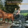 German Hf.11 Horse-Drawn Large Field Kitchen 1/35 Riich