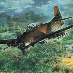 T-28D Trojan USAF Trainer Aircraft 1/48 Roden