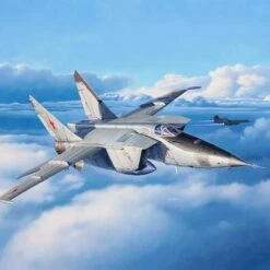 MiG25 RBT Foxbat B Fighter 1/48 Revell Germany