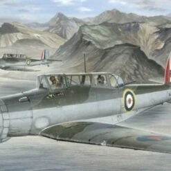 Blackburn Skua Mk II Fighter Norwegian Campaign 1/48 Special Hobby