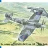 Spitfire Mk XII Aircraft against Fieseler Fi103 V1 Flying Bomb Aircraft (2 Kits) 1/48 Special Hobby