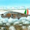 Caproni Ca311 Italian Bomber 1/72 Special Hobby