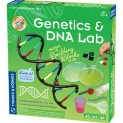 Genetics & DNA Lab STEM Experiment Kit Thames & Kosmos