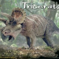 Triceratops Dinosaur (New Tool) 1/24 Pegasus