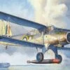 Fairey Albacore Torpedo Bomber 1/48 Trumpeter