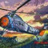 H-34 US Navy Rescue Helicopter 1/48 Trumpeter