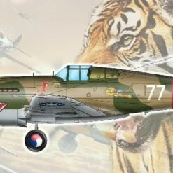H-81A-2(AVG) P-40 Variant Aircraft 1/48 Trumpeter